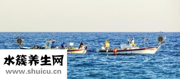 晚上吃啥不胖还减肥
