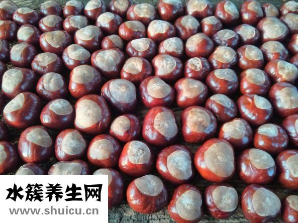 孕妇可以吃栗子吗