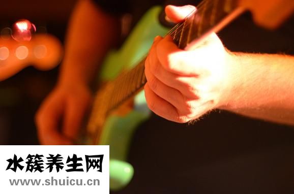 什么是真菌