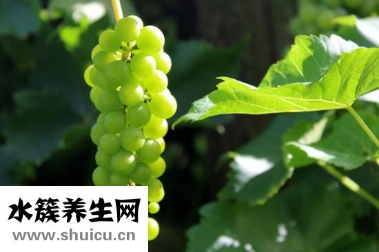 小满是什么季节