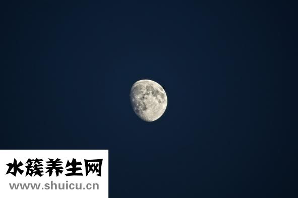 国医大师王琦