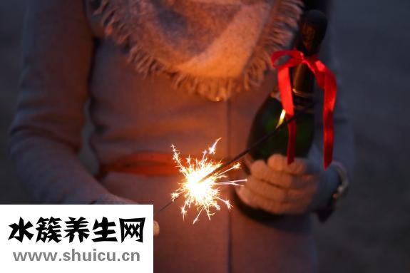 孕妇能不能吃狗肉