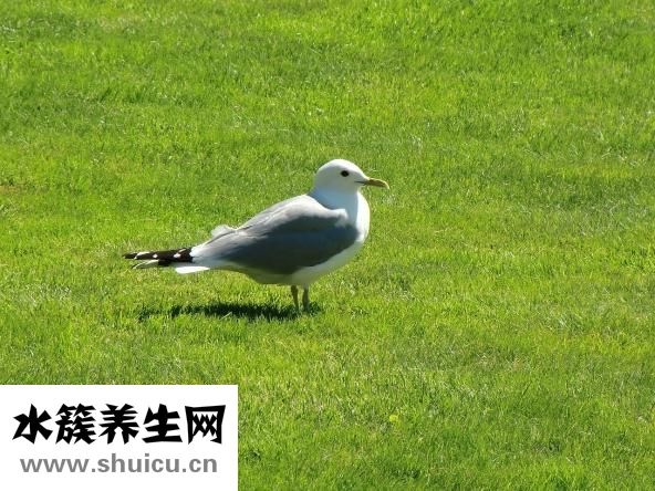 怎么去除脸上的静电感应？