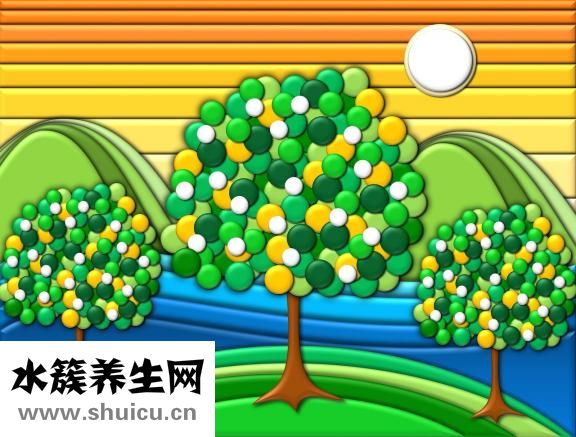 孕妇吃莲子堕胎
