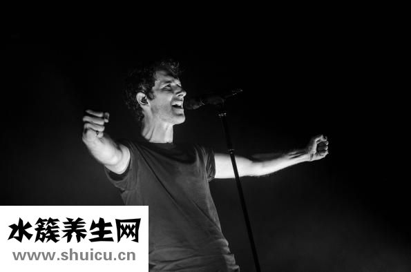 晚上吃什么比较好