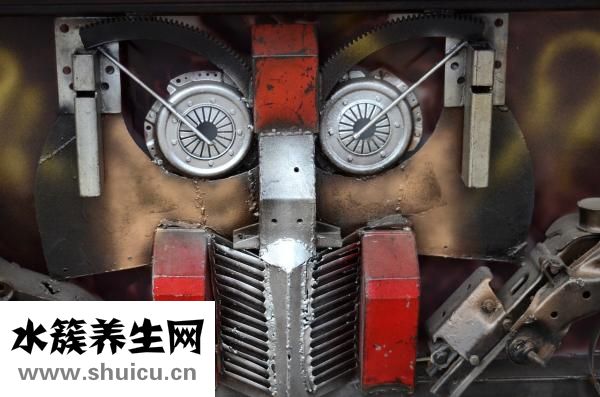 什么的绒毛