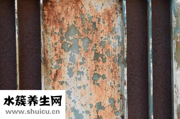 新生儿抽搐