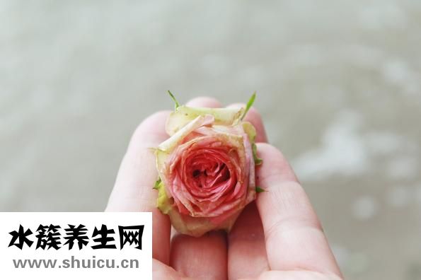 新生儿抽搐