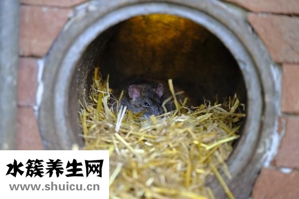 手术治疗痤疮
