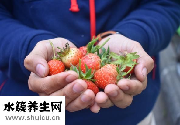 孕妇可以吃冰的吗