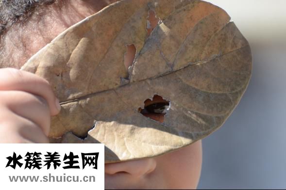 怎样纠正近视眼