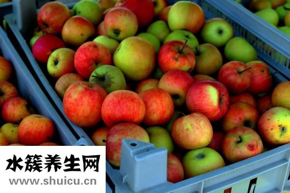 孕妇可以吃番茄酱吗