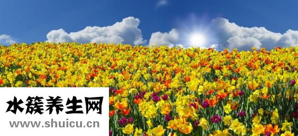 吐出黄水苦水严重吗