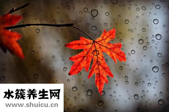 上火会引起痔疮吗
