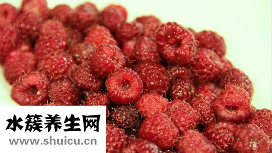 含铁高的食物