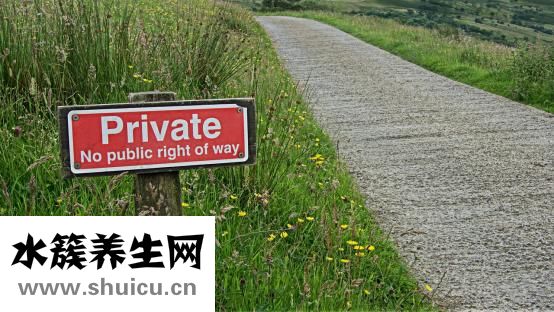 心理健康活动