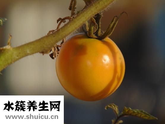 喝酒划拳怎么玩