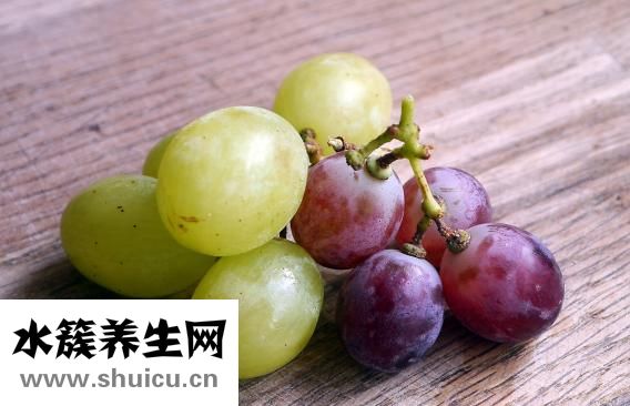 孕妇能吃栗子吗