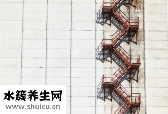 什么叫蜘蛛痣