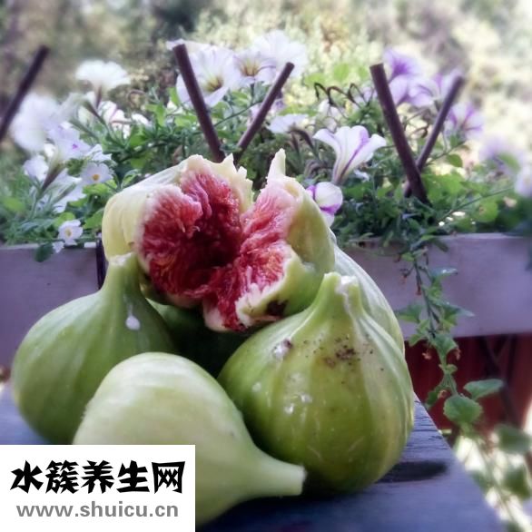 含糖量高的水果