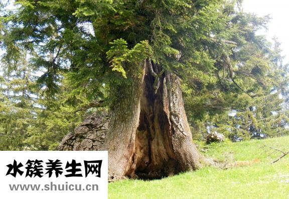 手心容易出汗