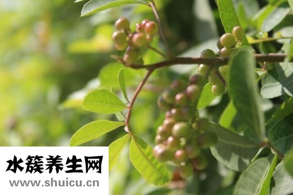 无毒一身轻