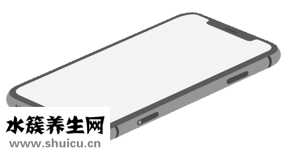 五脏六腑的功能