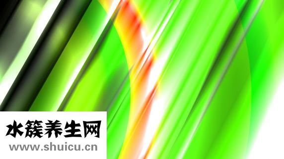 孕妇能吃面包吗