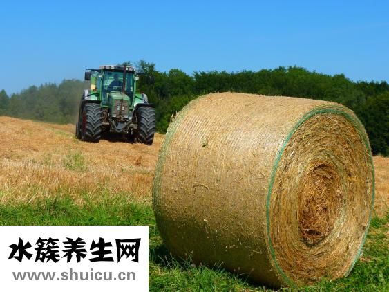 布洛芬药效持续时间