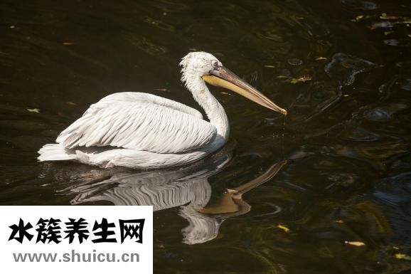 一岁半宝宝发育指标