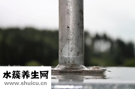 什么假牙最好