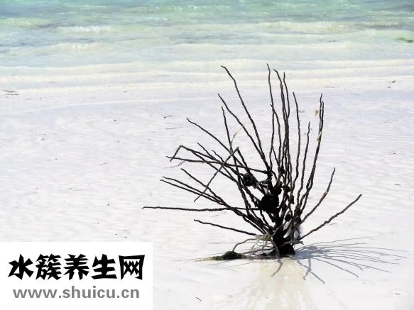 子宫脱垂的原因