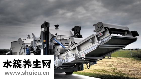 双孢菇是口蘑吗