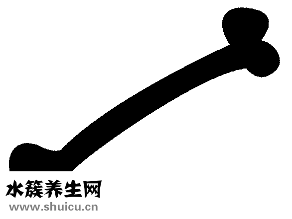 土茯苓猪骨汤