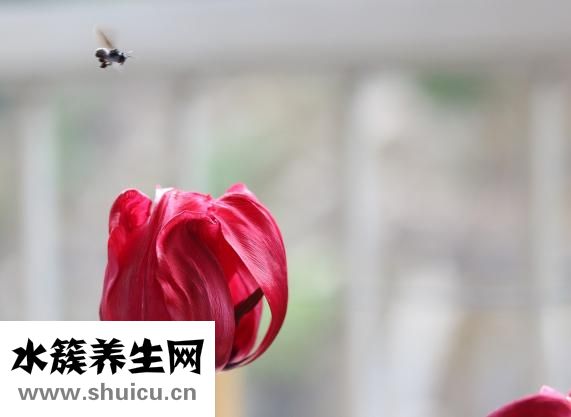 张力性气胸