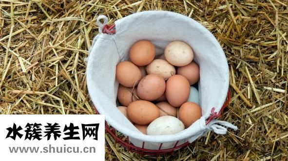怎样腌制咸鸡蛋