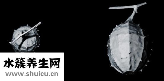 新癀片治疗痛风
