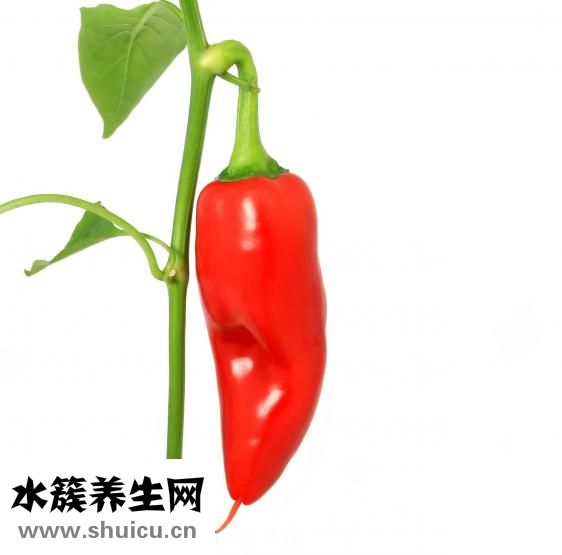 孕妇可以吃辣吗