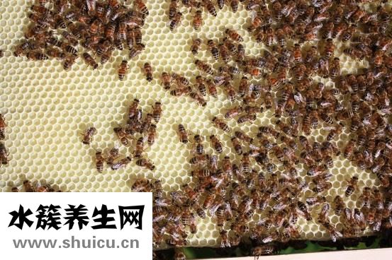 喝蜂蜜有哪些好处