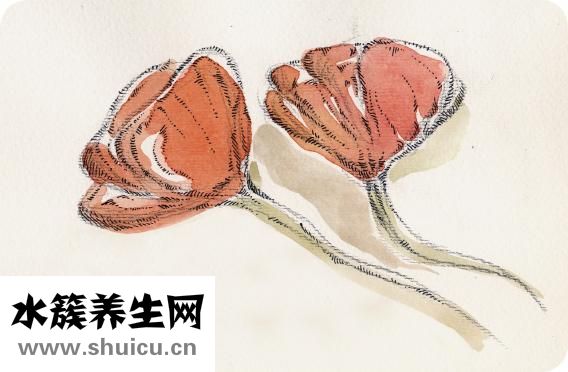 孕妇可以吃辣吗
