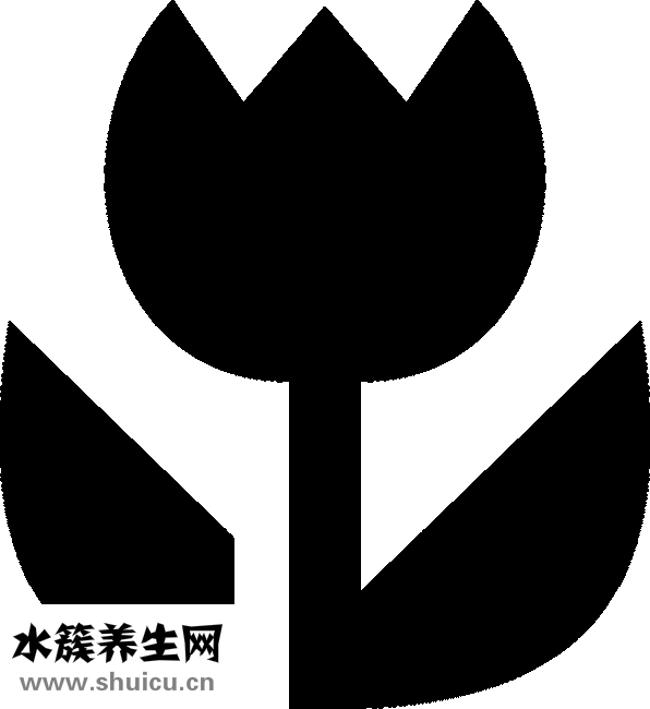 怎么煎荷包蛋