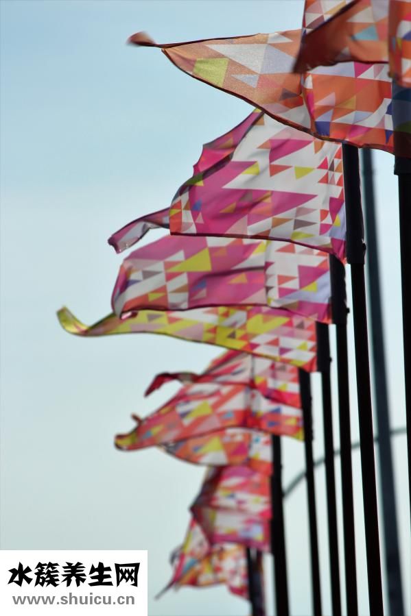 仰卧起坐训练方法