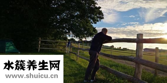 下肢血管彩超