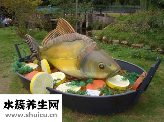 小鲫鱼怎么做好吃