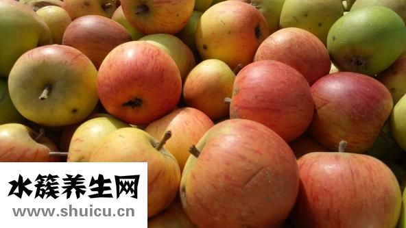 早上吃苹果的好处