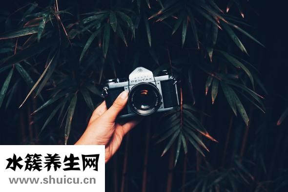 人体器官示意图
