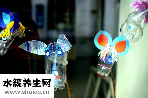 怎样炒花甲