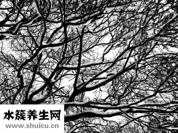 怎么样生发