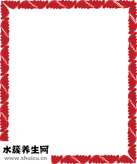 娃娃菜图片