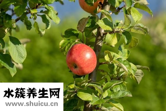 心跳快怎么办